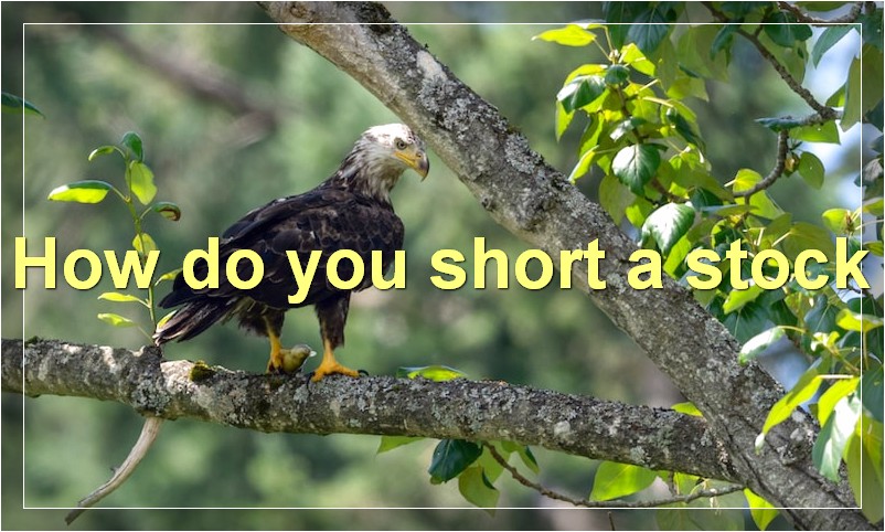 How do you short a stock