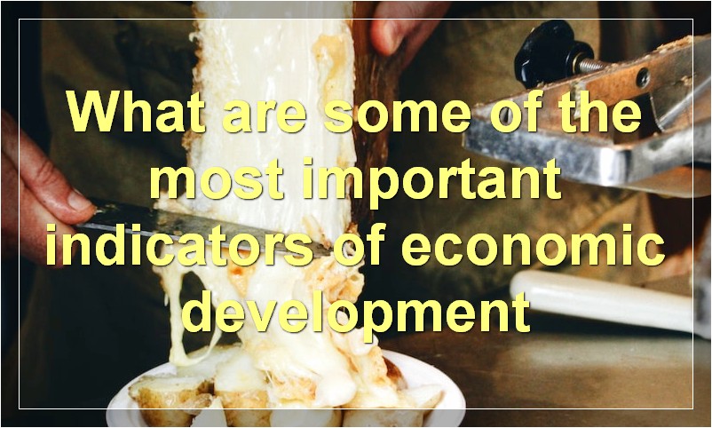 What are some of the most important indicators of economic development