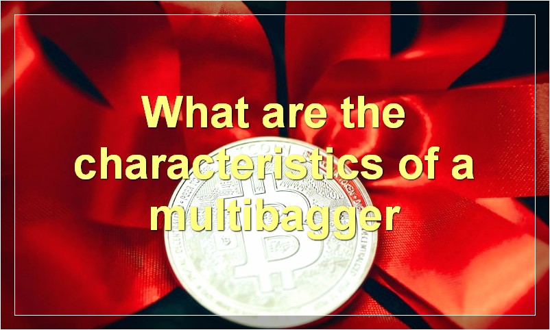 What are the characteristics of a multibagger