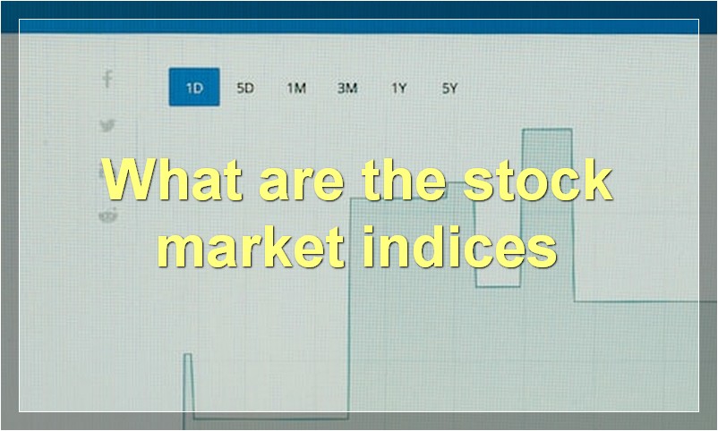 What are the stock market indices