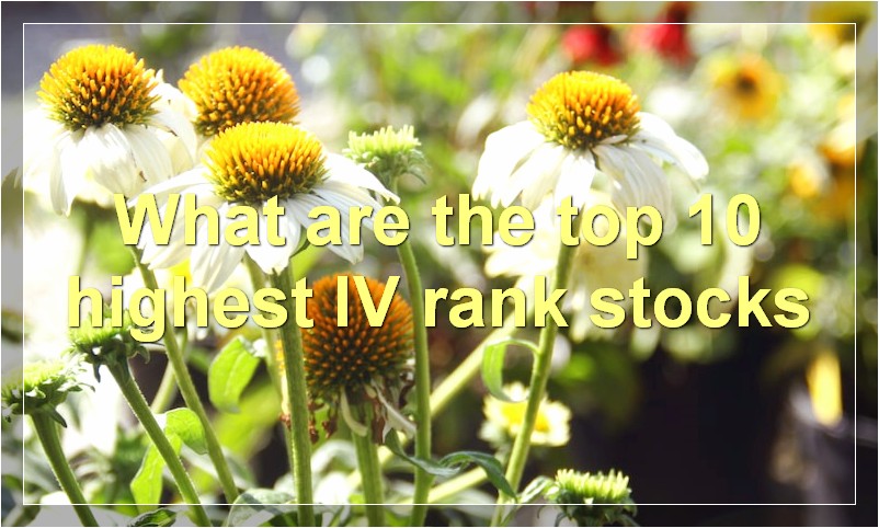 What are the top 10 highest IV rank stocks