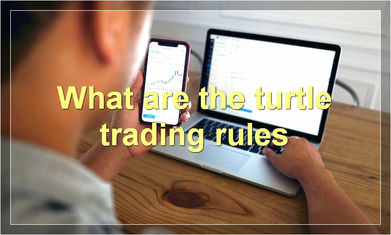 What are the turtle trading rules