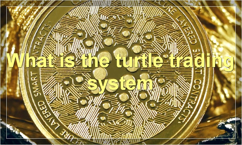 What is the turtle trading system